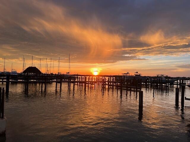 water view featuring a boat dock