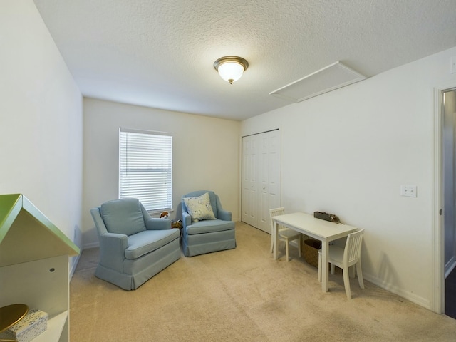 sitting room with light carpet and a textured ceiling