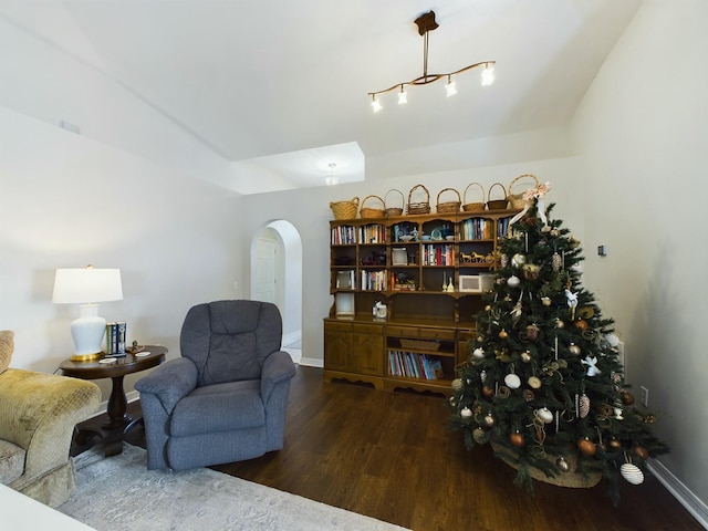 sitting room featuring dark wood-type flooring