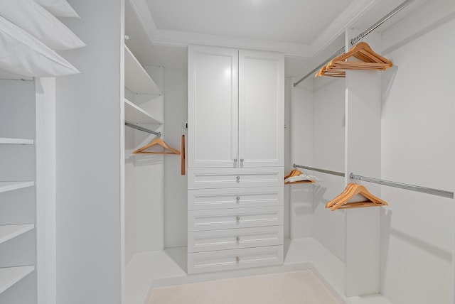 view of spacious closet