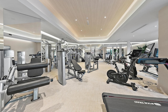 exercise room with a raised ceiling and light carpet