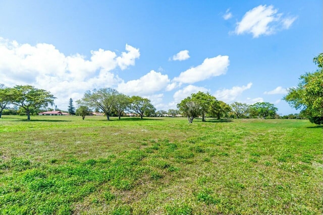 view of yard featuring a rural view