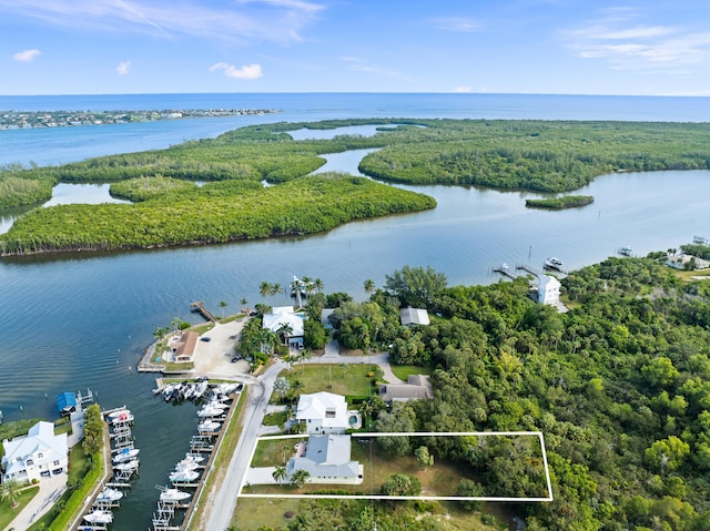 bird's eye view with a water view