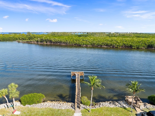 view of water feature with a boat dock