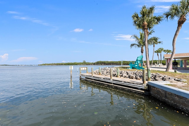 dock area with a water view