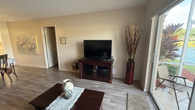 living room featuring wood-type flooring and a healthy amount of sunlight