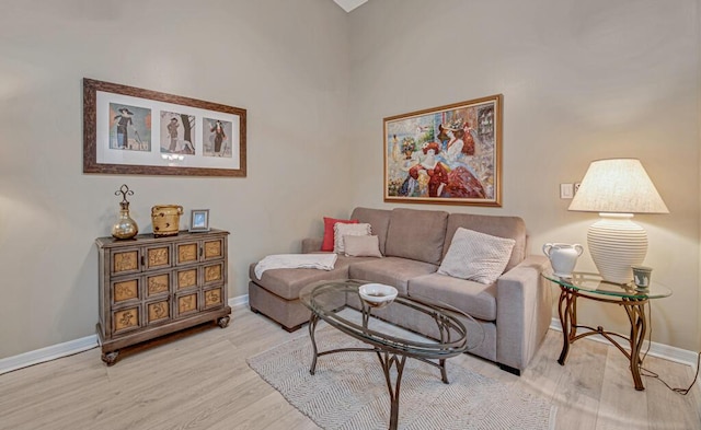 living room featuring hardwood / wood-style floors