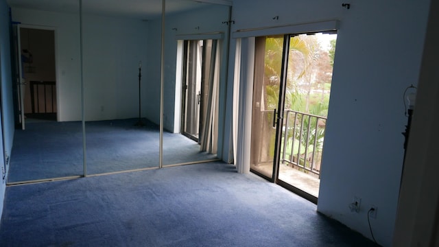 interior space featuring carpet flooring