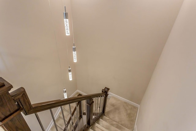 staircase with carpet floors