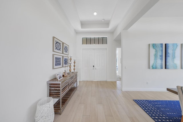 entryway featuring a raised ceiling and light wood-type flooring