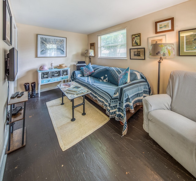 living room with dark hardwood / wood-style floors