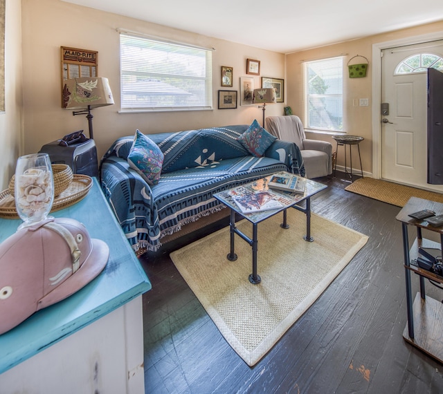 living room featuring dark hardwood / wood-style floors