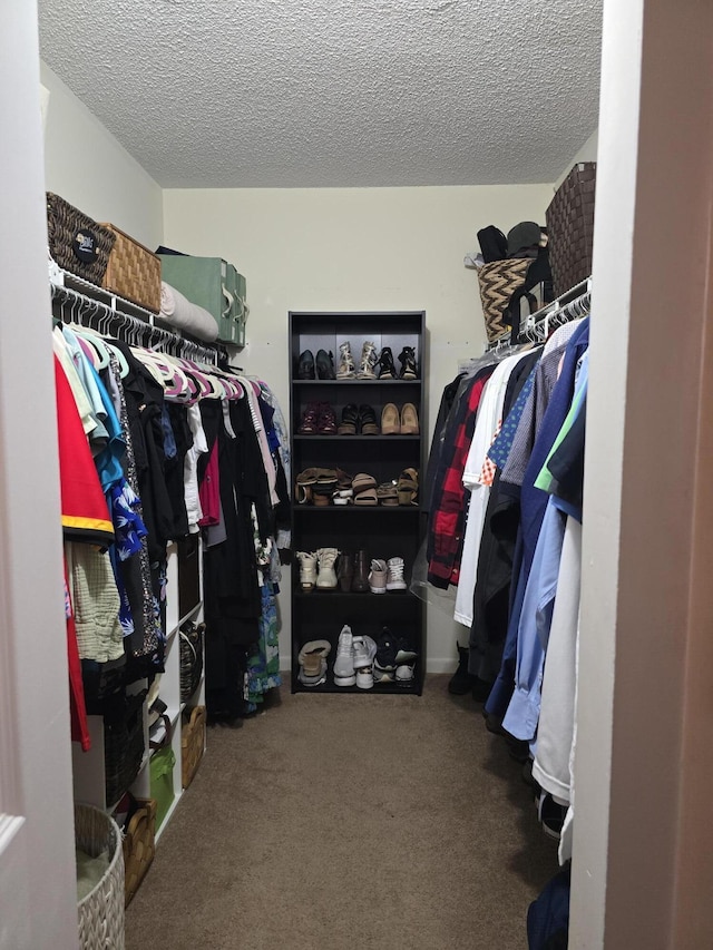 walk in closet with carpet