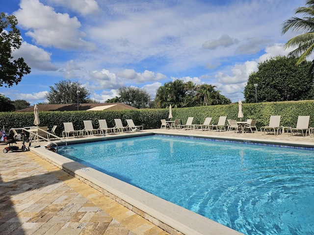 view of swimming pool with a patio area