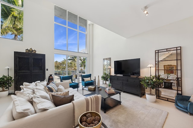 living room with a towering ceiling