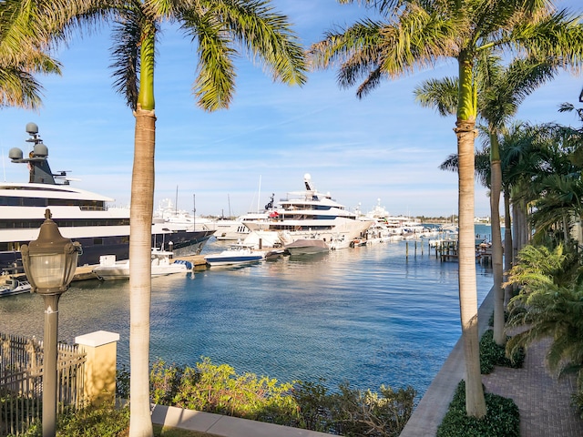 view of water feature with a dock