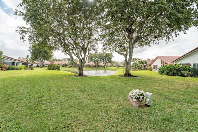 view of yard featuring a water view