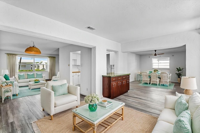 living room featuring hardwood / wood-style floors and ceiling fan