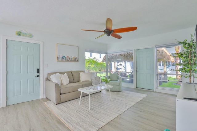 living room with ceiling fan and light wood-type flooring