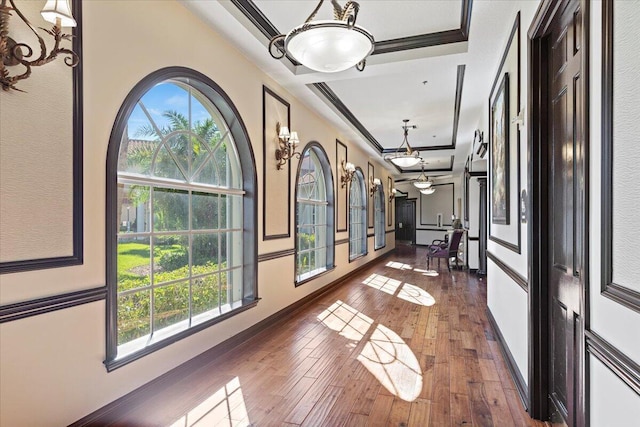 corridor with crown molding, a raised ceiling, and dark wood-type flooring