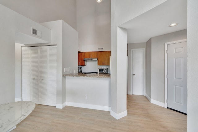 kitchen featuring light stone countertops, sink, and light wood-type flooring