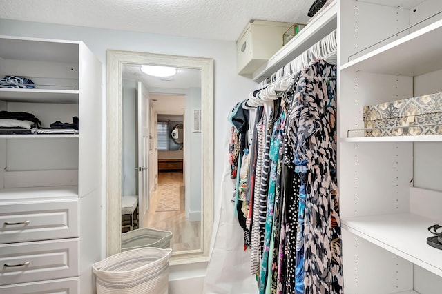 spacious closet with hardwood / wood-style flooring