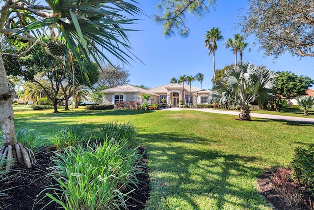 view of front facade with a front yard