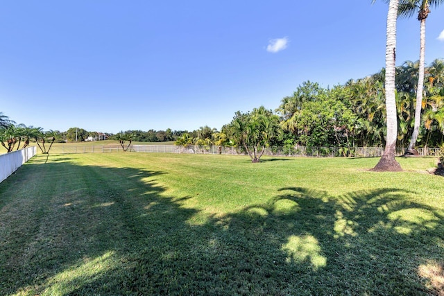 view of yard with a rural view