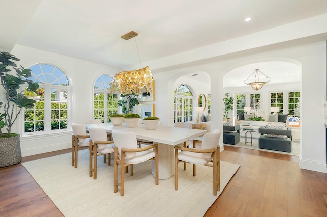 dining room featuring french doors, light wood-type flooring, and a wealth of natural light