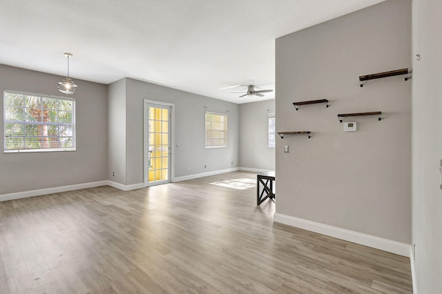 empty room with ceiling fan and light hardwood / wood-style flooring