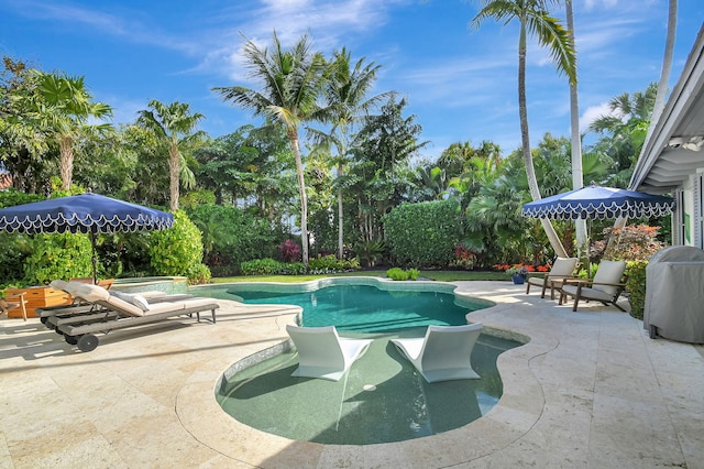 view of pool featuring a patio area and a grill