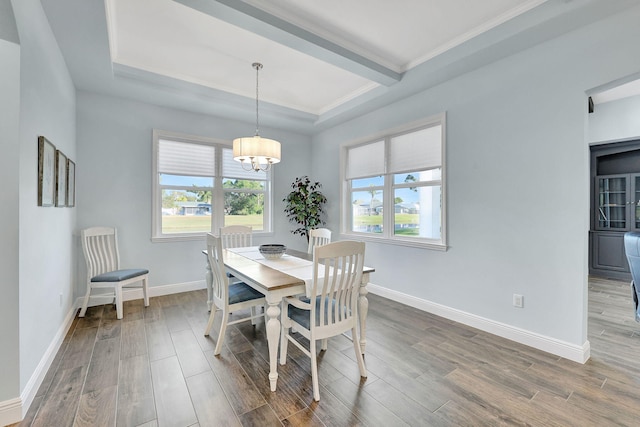 dining area featuring a chandelier, wood-type flooring, and a tray ceiling