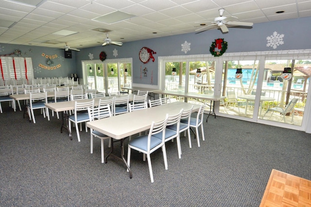 dining space with a drop ceiling, a healthy amount of sunlight, and carpet floors