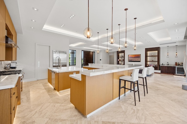 kitchen featuring a spacious island, a sink, open floor plan, a tray ceiling, and decorative light fixtures