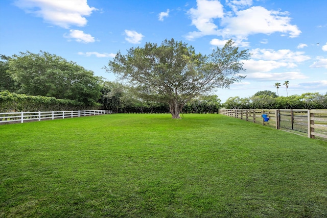 view of yard featuring a rural view