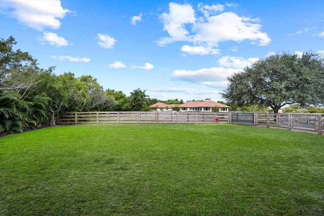 view of yard