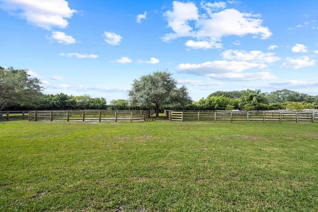 view of yard featuring a rural view