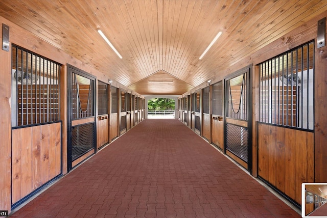 view of horse barn