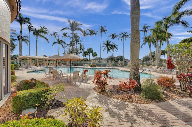 view of swimming pool with a patio