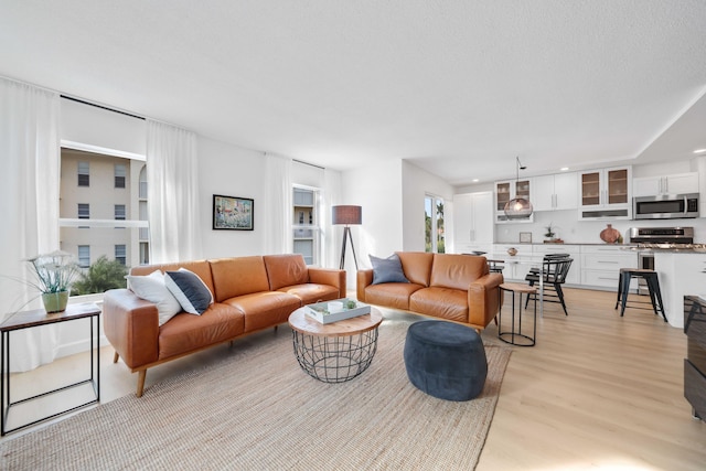 living room featuring light hardwood / wood-style floors