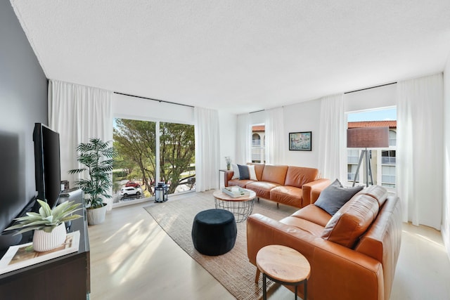 living room featuring a textured ceiling