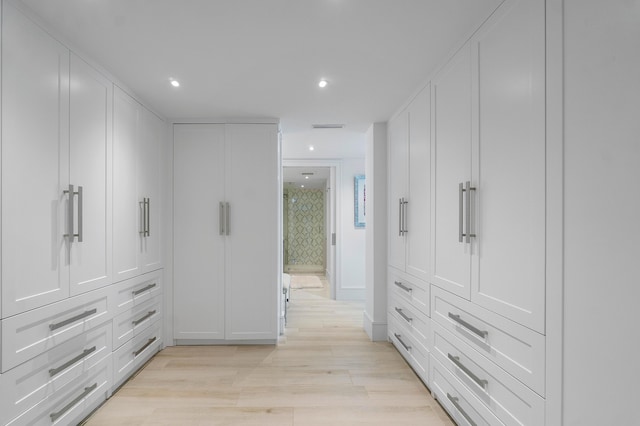 spacious closet with light hardwood / wood-style flooring