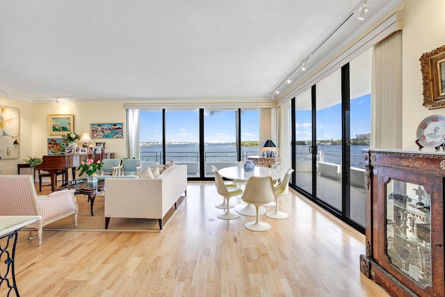 living room featuring a water view, track lighting, a wealth of natural light, and light hardwood / wood-style floors