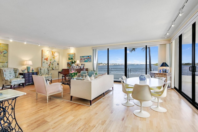 living room featuring a water view, light wood-type flooring, and track lighting