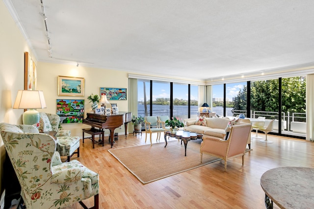 living room with a water view, rail lighting, light wood-type flooring, ornamental molding, and a wall of windows