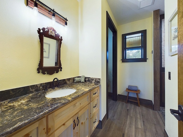 bathroom with hardwood / wood-style floors and vanity