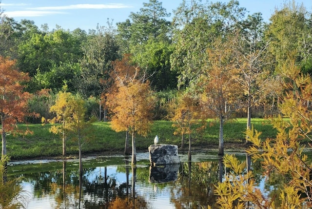 property view of water