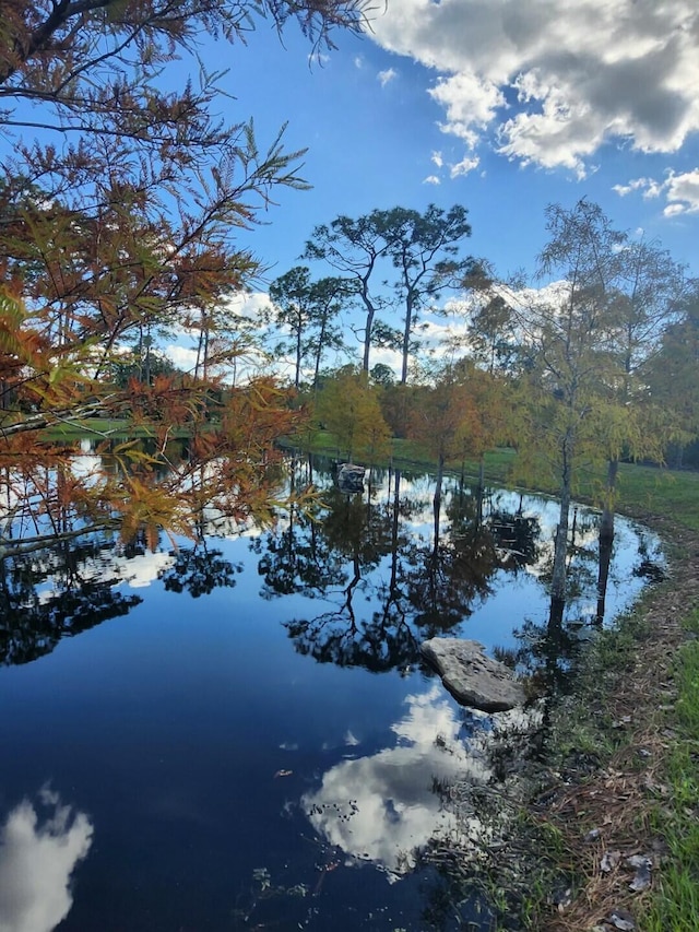 view of water feature