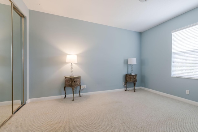 sitting room featuring carpet flooring