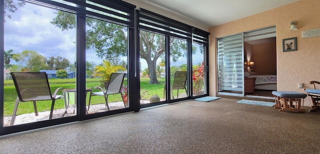 entryway with carpet flooring and a wall of windows